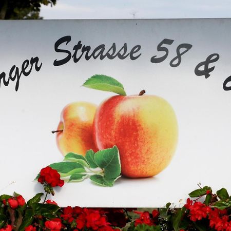 Ferienhof Waggershauser FDH Exteriér fotografie