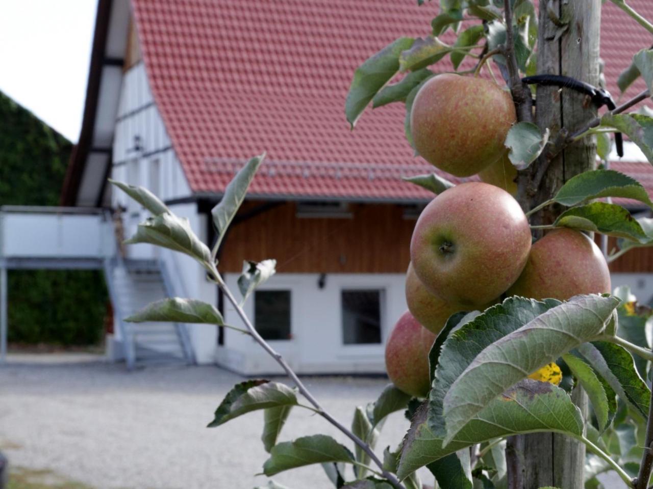 Ferienhof Waggershauser FDH Exteriér fotografie